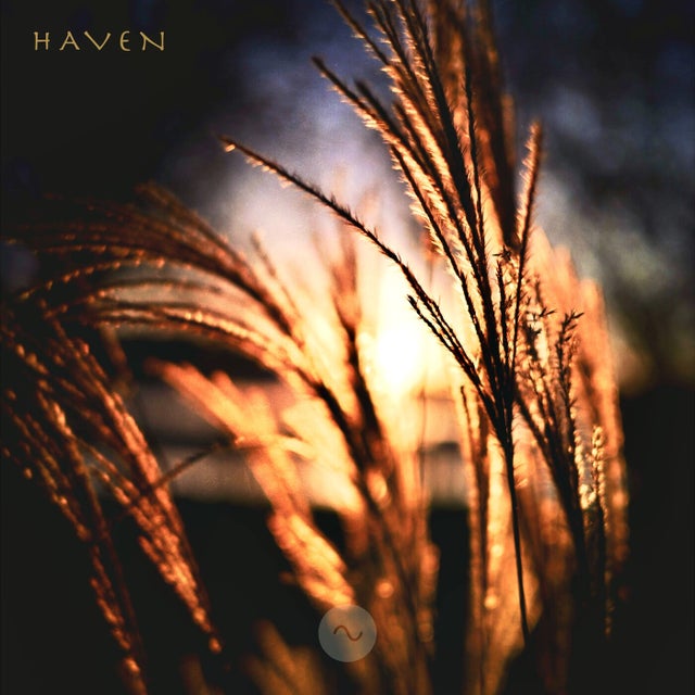 Haven album art