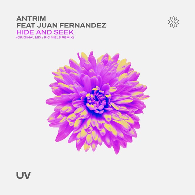 Hide and Seek album art