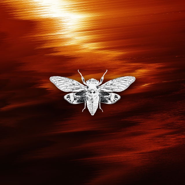 Push It - Extended Mix album art