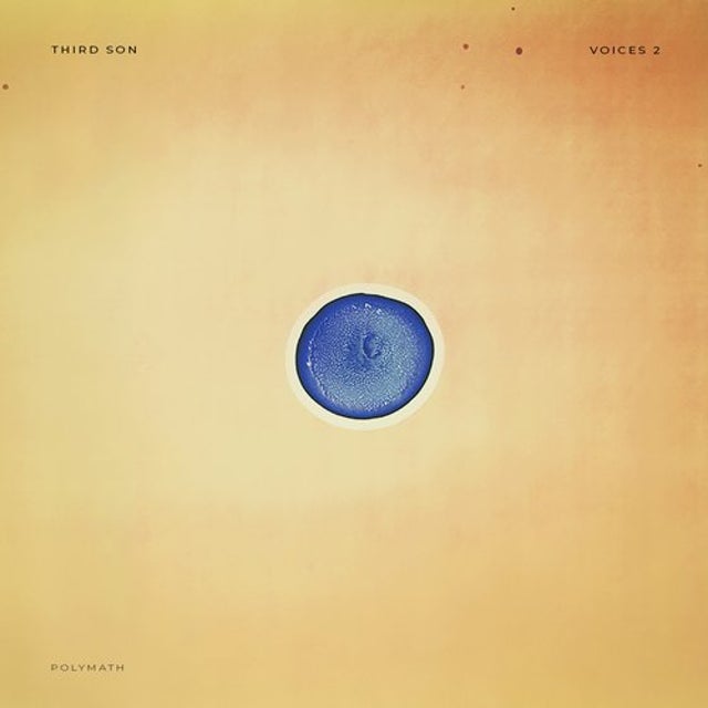The Need For Repetition album art
