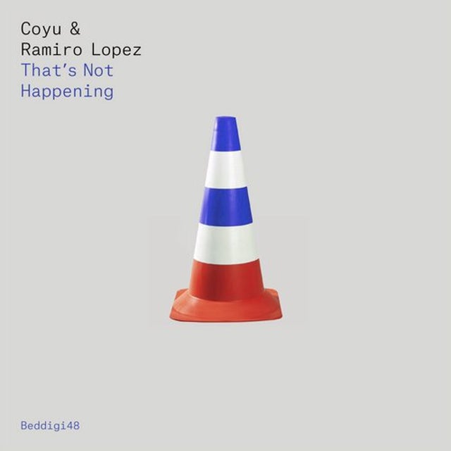 Requiem For The Crazyness album art