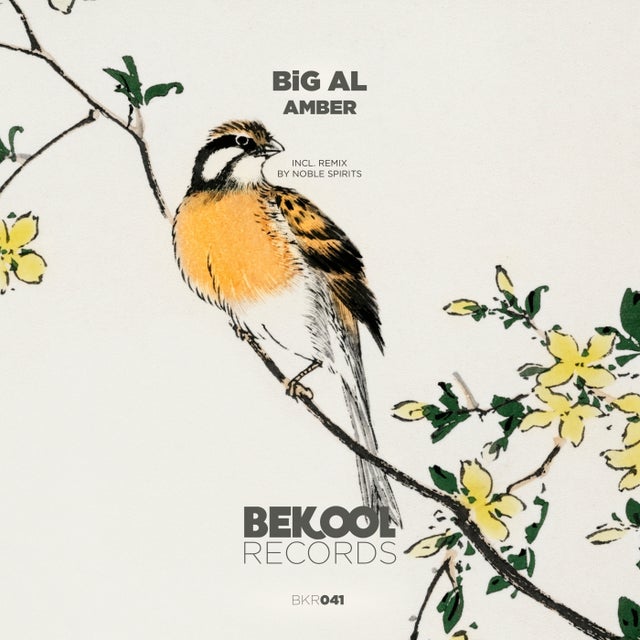 Amber album art