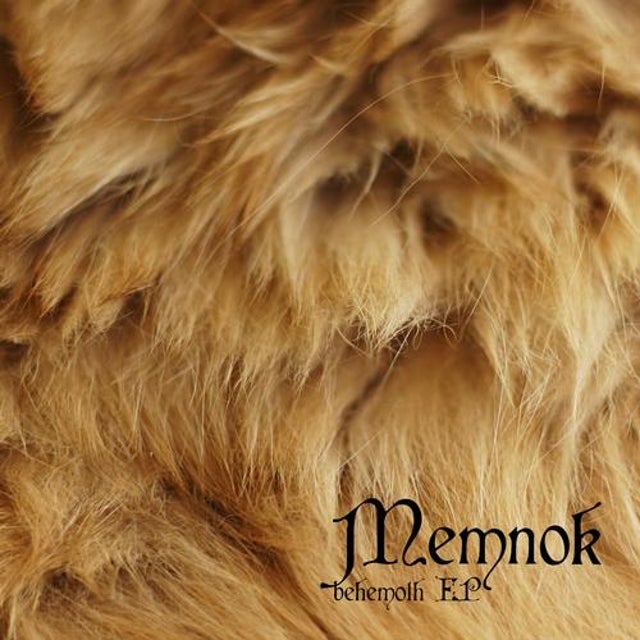 Max's Closet album art
