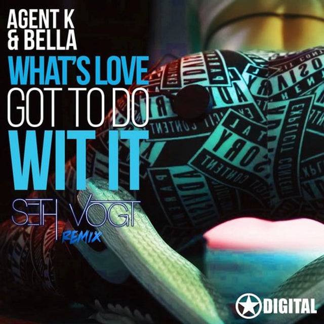 Whats Love Got To Do Wit It - Seth Vogt Remix album art