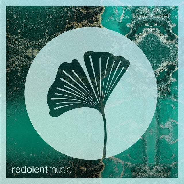 Le Lo Le - Extended Mix album art