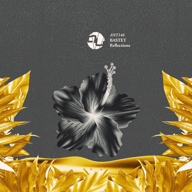 Reflections album art
