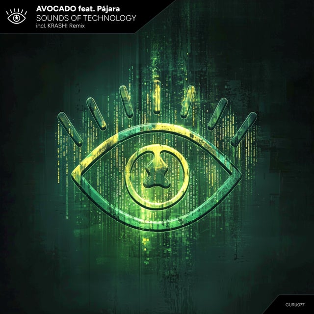 Sounds of Technology feat. Pájara - Krash! Remix album art