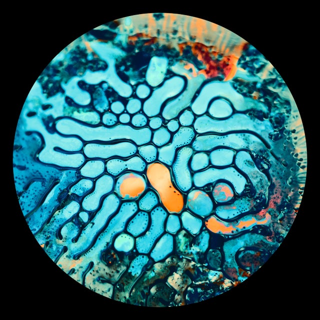 Whisp - Scales album art