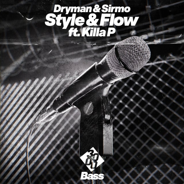 Style & Flow feat. Killa P - WZ Remix album art