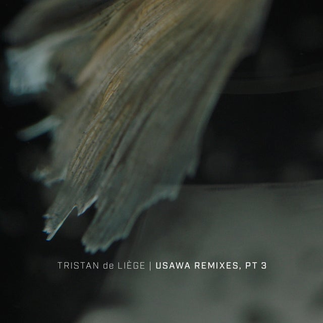 Usawa feat. ONYI LOVE - Jono Das Remix album art