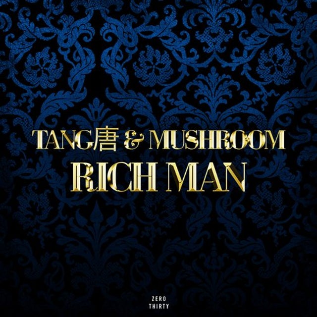 Rich Man - Extended Mix album art