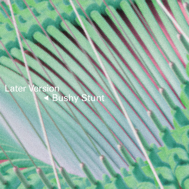 Bushy Stunt album art