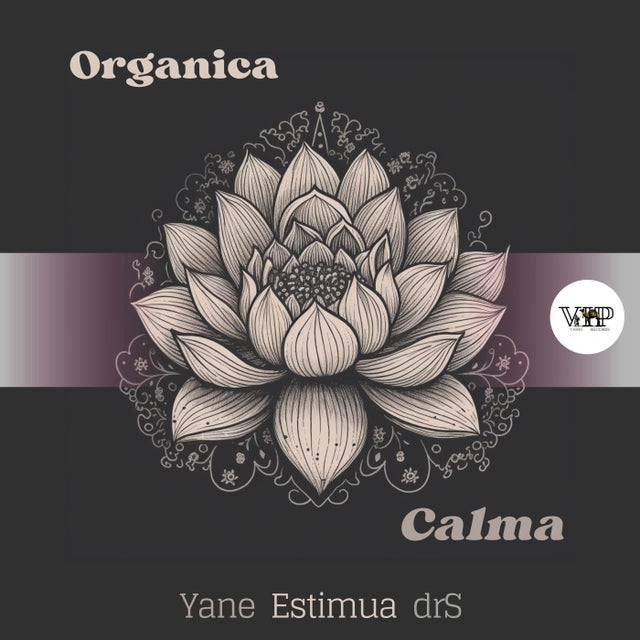 Calma - Estimua Remix album art