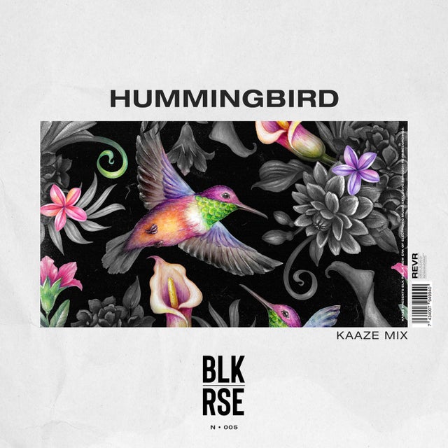 Hummingbird - KAAZE Extended Mix album art