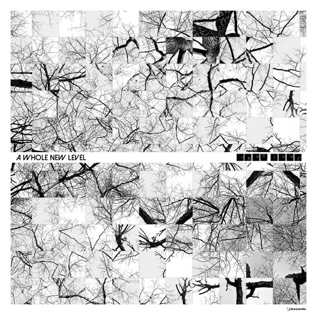 A Whole New Level album art