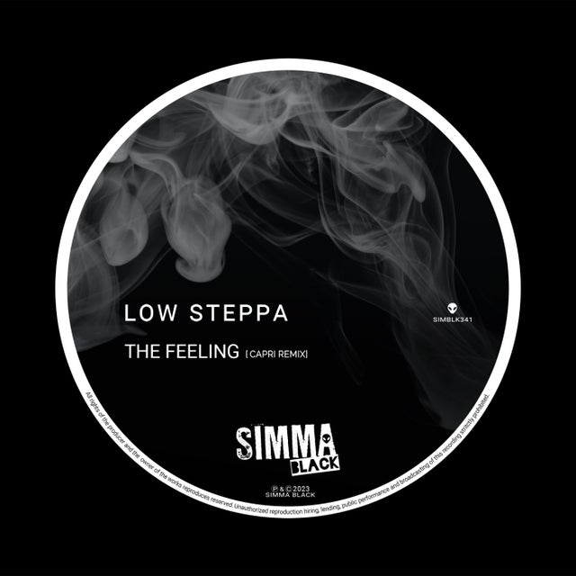 The Feeling - Capri Remix album art