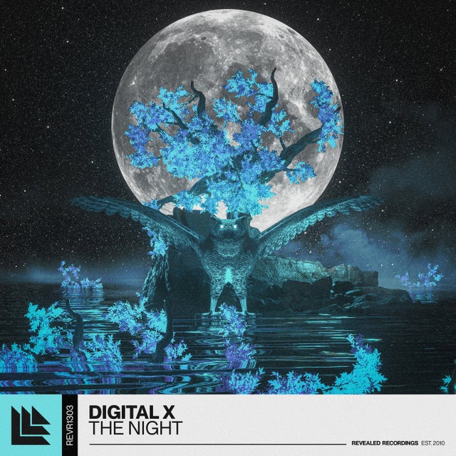 The Night - Extended Mix album art