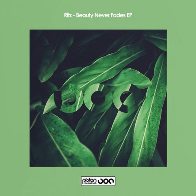 Beauty Never Fades album art