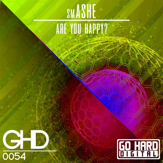 Are You Happy? album art