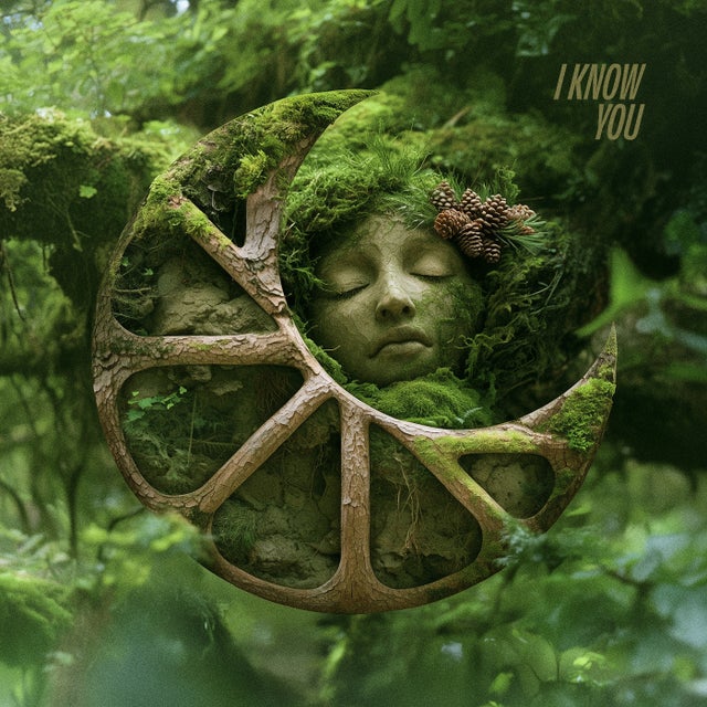 I Know You album art