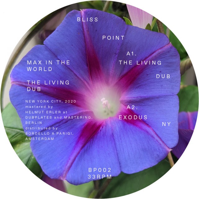 The Living Dub - Sentiments Remix album art