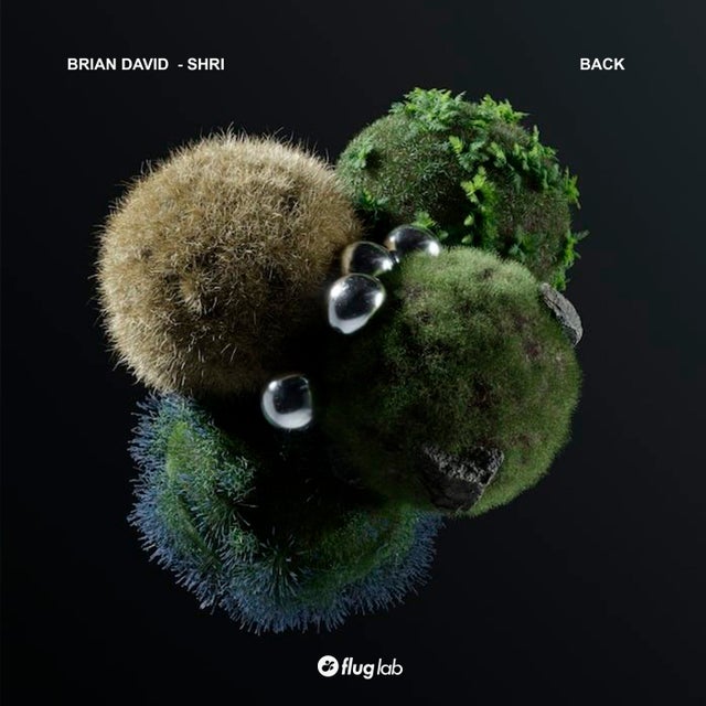 Back album art