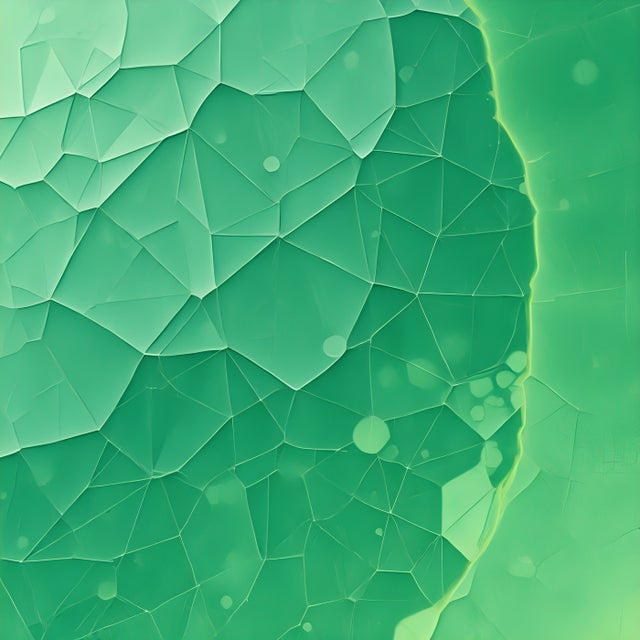 Shapeshift album art