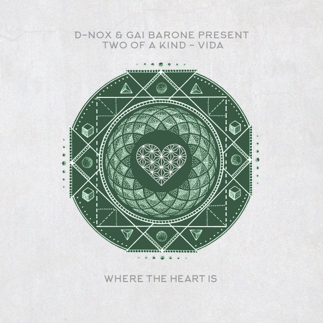 Vida album art