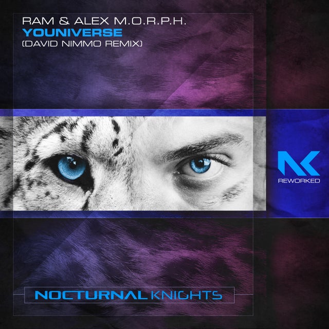 Youniverse - David Nimmo Extended Remix album art