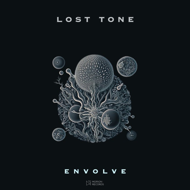 Envolve album art