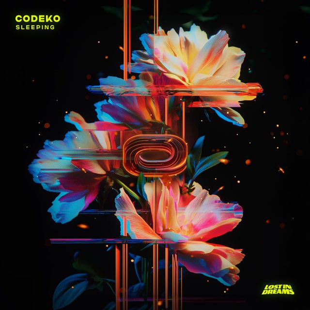 Sleeping album art
