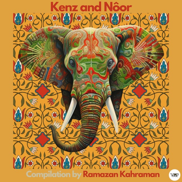 Amazigh Chant - Yane Remix album art
