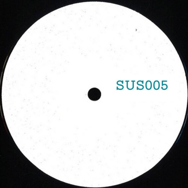 B1 - Unknown Artist - What the hell you talking about (SUS005) album art