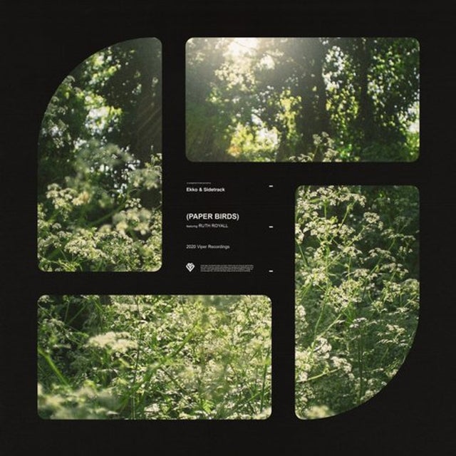Paper Birds - Extended Edit album art