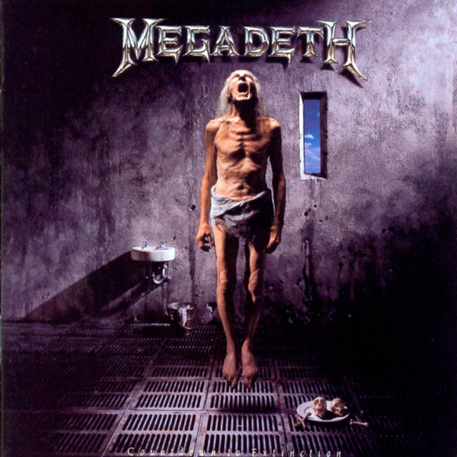 Symphony Of Destruction album art