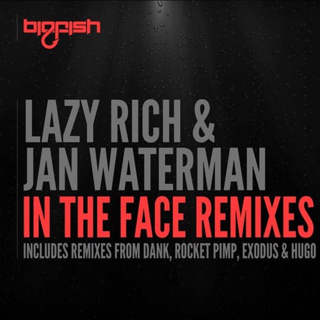 In The Face [test] - DANK Remix album art