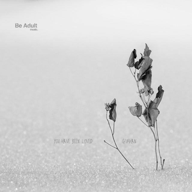 You Have Been Loved album art
