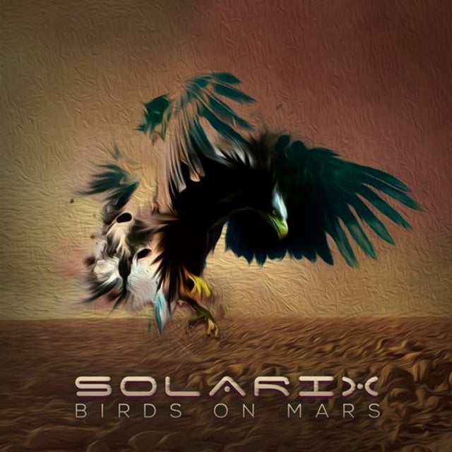 Birds On Mars album art