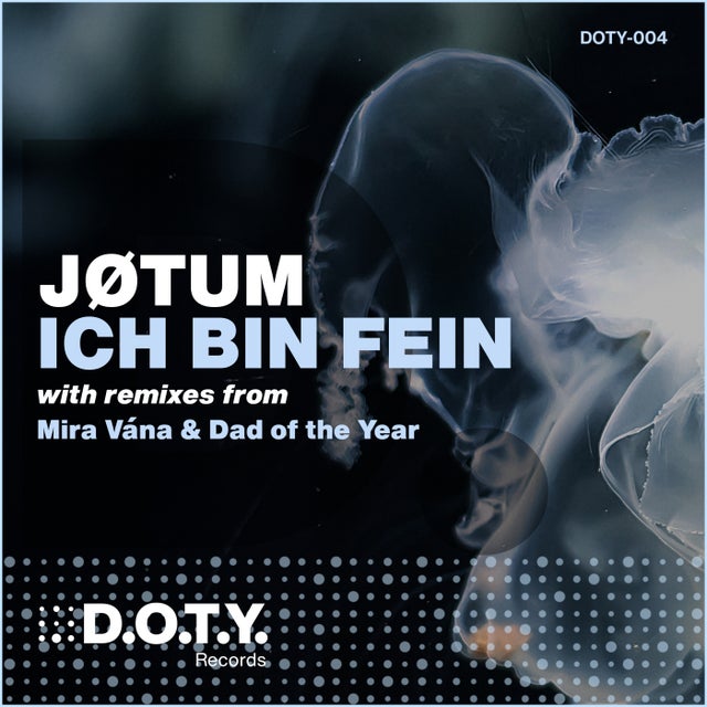 Ich Bin Fein album art