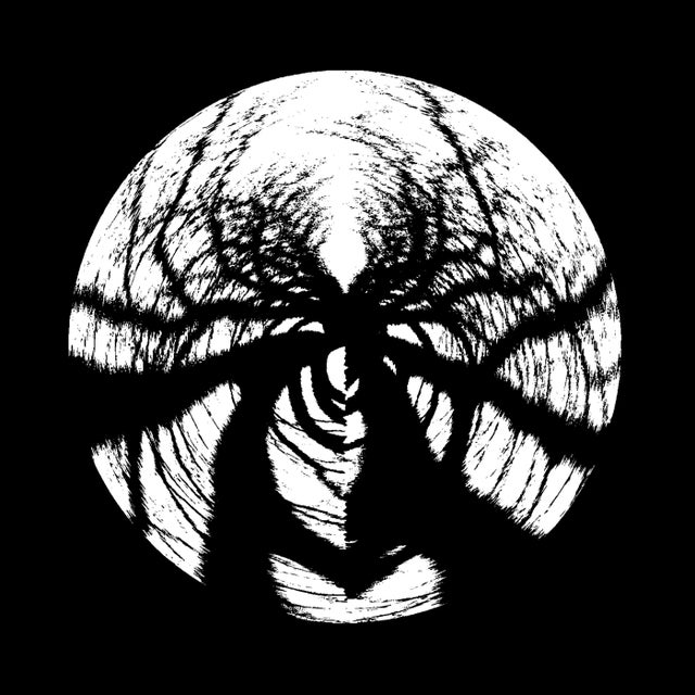 Hinterlands album art