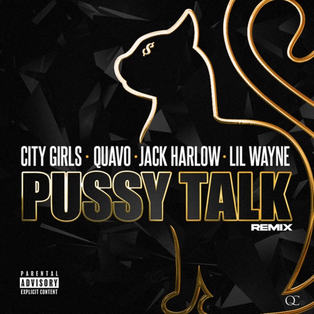 Pussy Talk - Remix album art