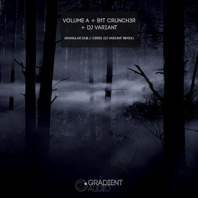 Granular Dub album art