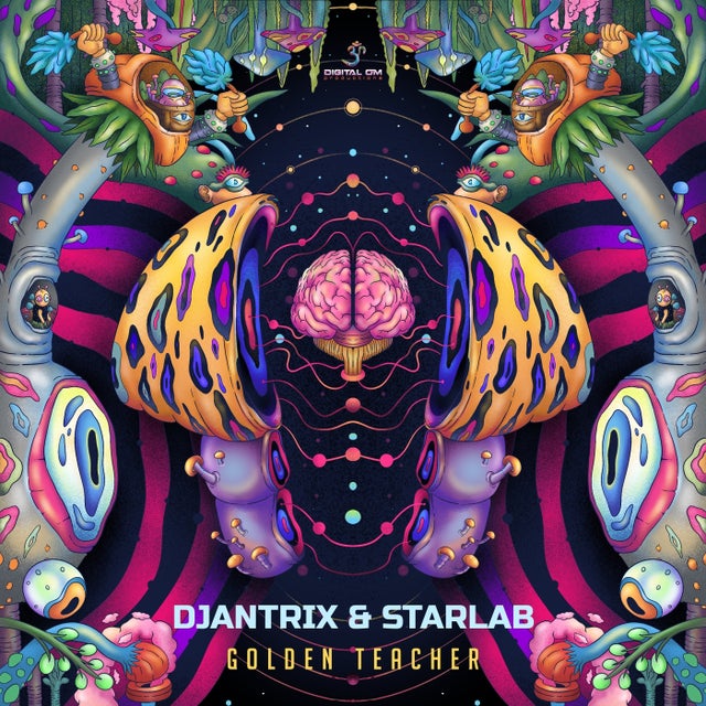 Golden Teacher album art