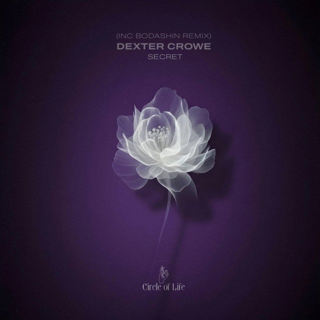 Secret album art