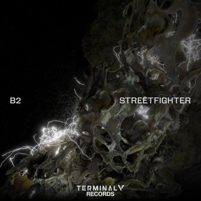 Streetfighter album art