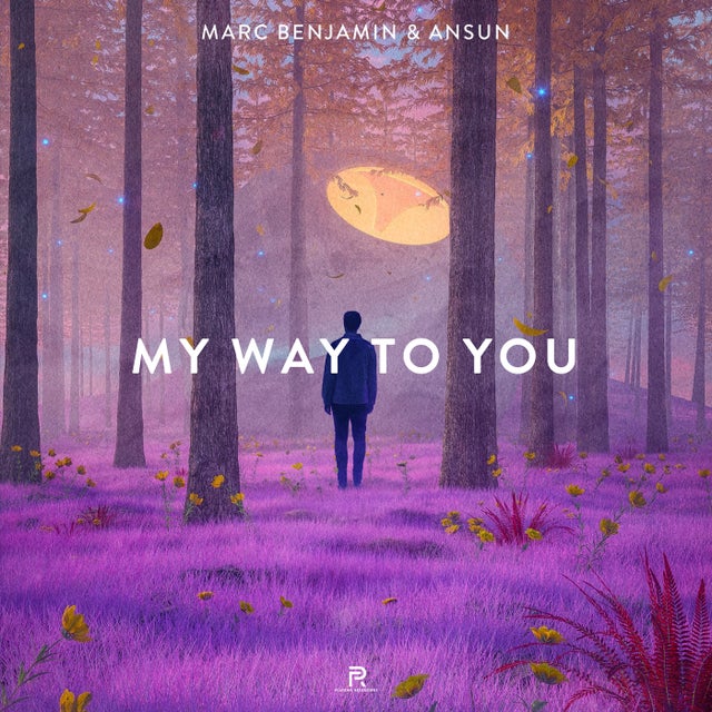 My Way To You - Extended Mix album art