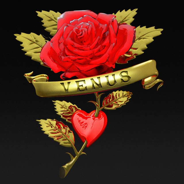 Venus - Boys Noize Rework; Instrumental album art