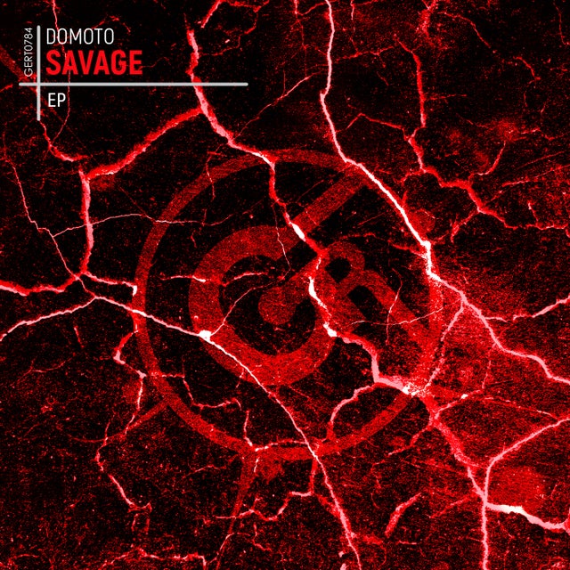 Savage album art