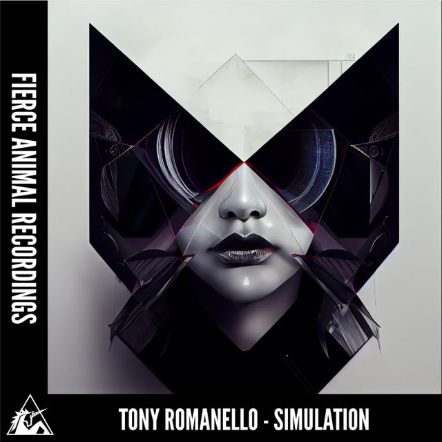 Simulation album art