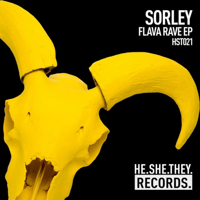 Flava Rave album art